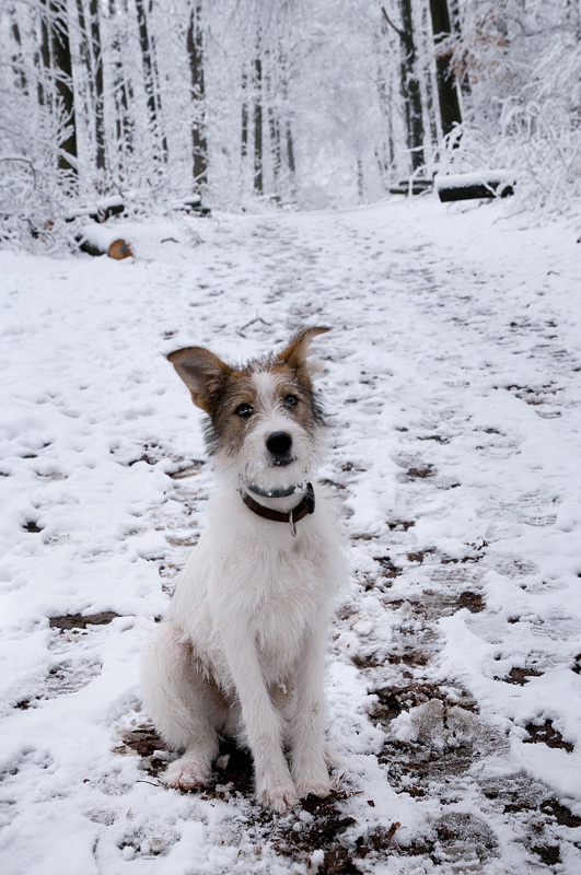 Felix D35_4123 als Smart-Objekt-1 Kopie.jpg